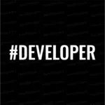 Developer | Mascarado