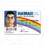 Card McLOVIN