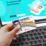 Card McLOVIN