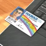 Card McLOVIN