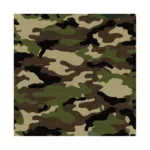 Game skin Camuflagem I