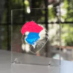 Amor de irmã