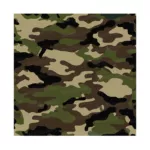 Camuflagem I | Joystick Skin