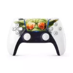 Mestre DJ | Joystick Skin