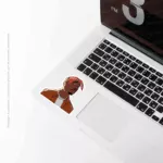 2P | Sticker