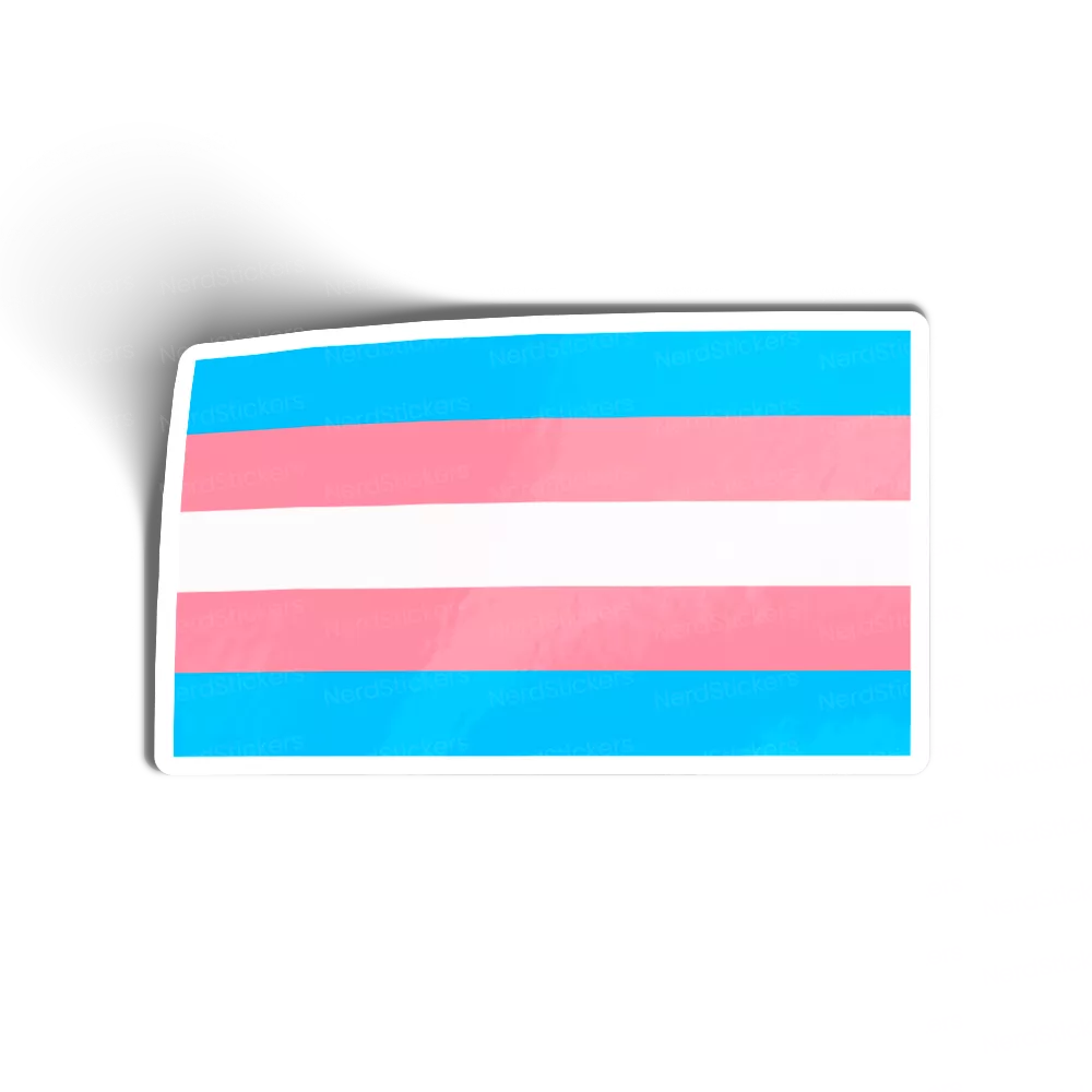 Adesivo Bandeira Transexual, Causas