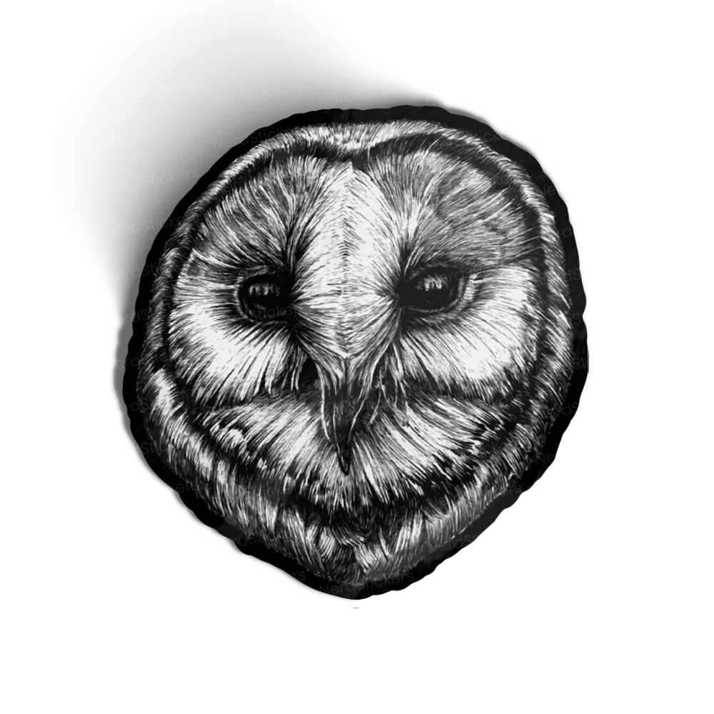 Barn Owl