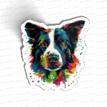 Border Collie Colors