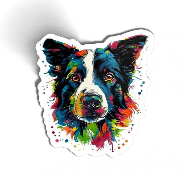 Border Collie Colors