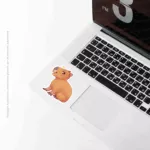 Capivara
