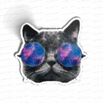 Cat Universe