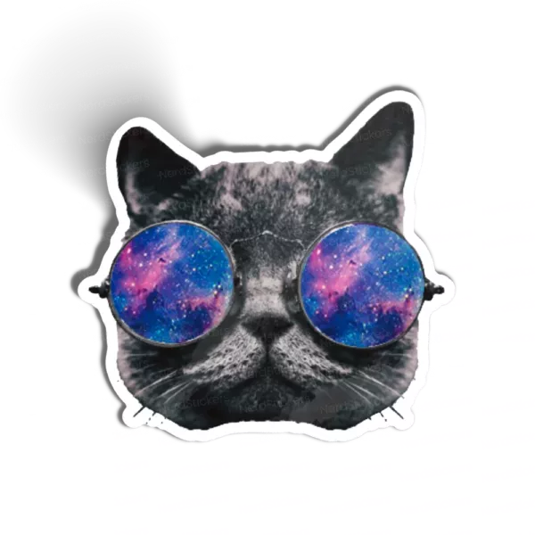 Cat Universe