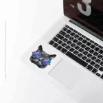 Cat Universe