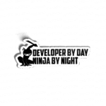 Developer by day