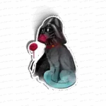 Dht. Cat