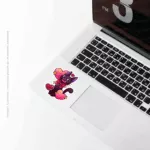 Gato Entregador