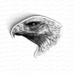Golden Eagle