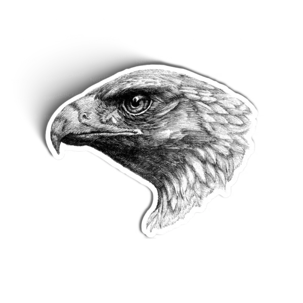 Golden Eagle
