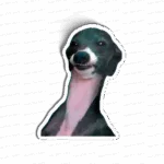 I'm watching you