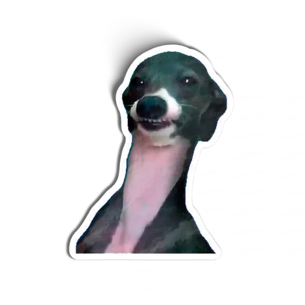 I'm watching you