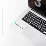MongoDB-II