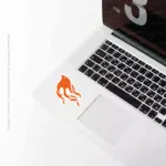 Phoenix Framework