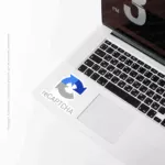 reCAPTCHA