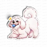 Shih-tzu