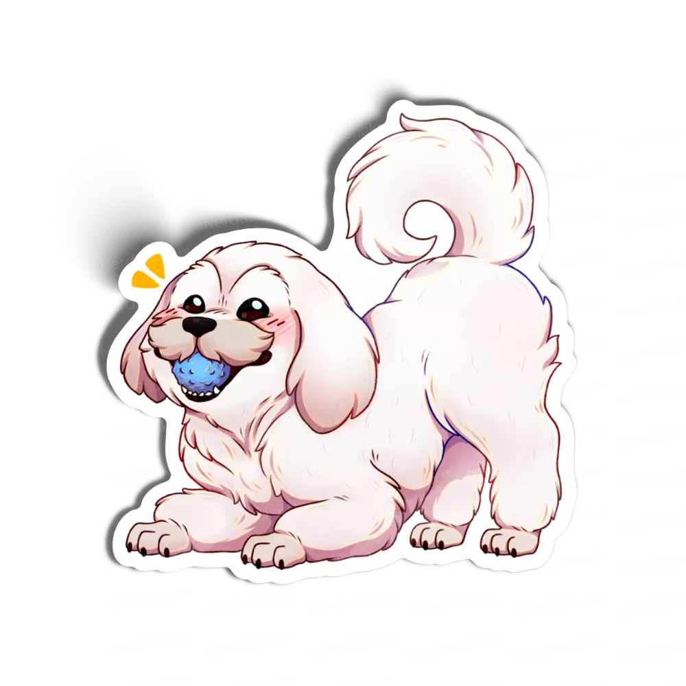 Shih-tzu