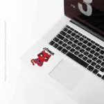 Spider Cat