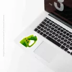 Thinker frog