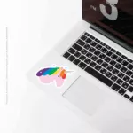 Unicorn lgbt