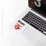 Life is not a strawberry