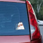 Junior | Sticker