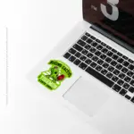 Boxing Digital Cactus