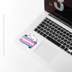 Pride Cat II