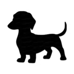 Silhueta Dachshund Salsicha Fofo
