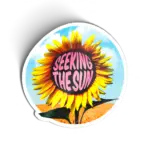 Seeking the Sun