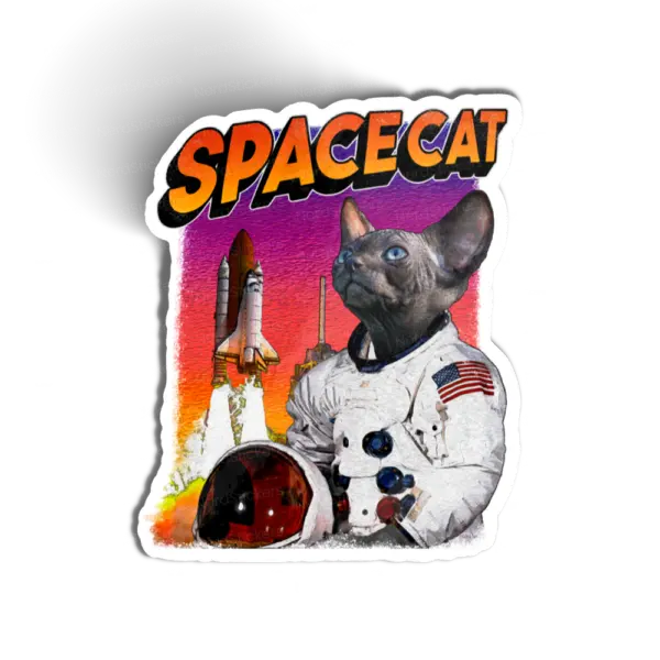 Space Cat