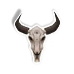 Caveira de Boi