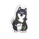Umbra