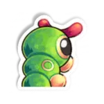 Caterpie