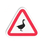 CUIDADO