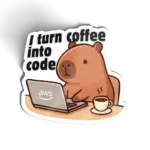 I turn coffee into code