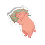 oinc oinc