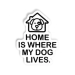Home Dog