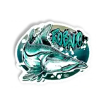 ROBALÃO CARTOON