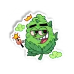 Traguinho Mágico 1