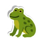 Sapo pintada Animais do Bioma Brasileiro