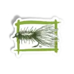 WOOLLY BUGGER